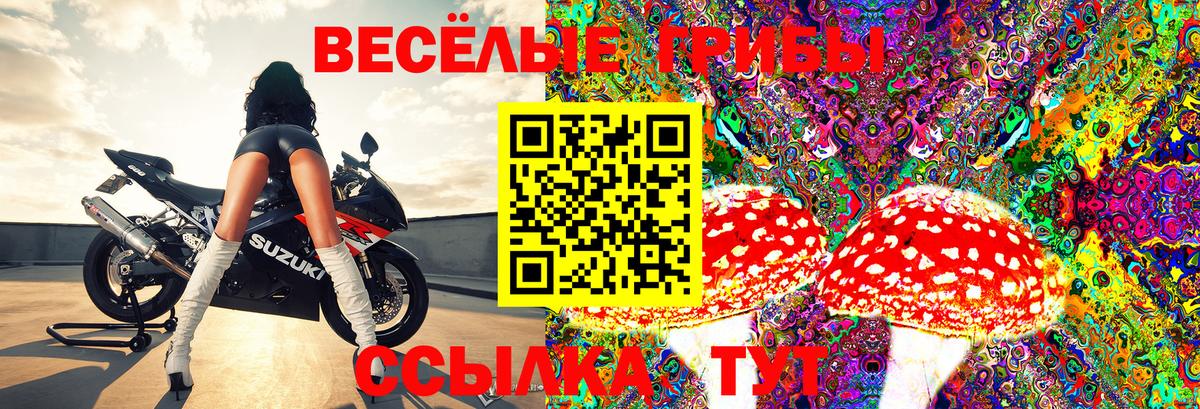 Галлюциногенные грибы GOLDEN TEACHER  Вход с VPN  Тула 